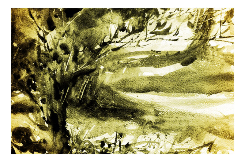Resized Image
