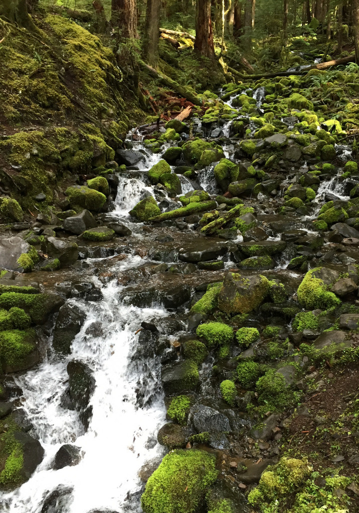 16903012240_969e48c35c_k