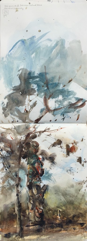 Presenting, Boo-Qwilla! 