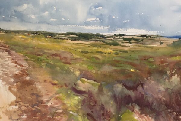 Resized Image